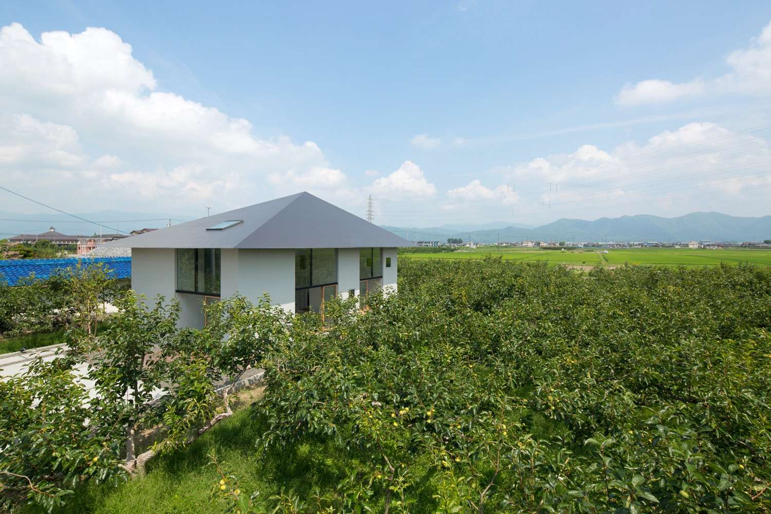 大野の家 House in Ohno