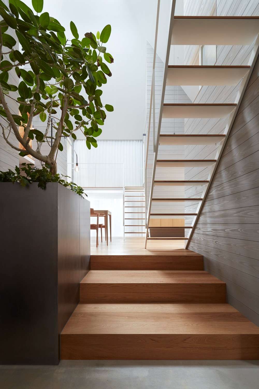 岩倉の家 House in Iwakura